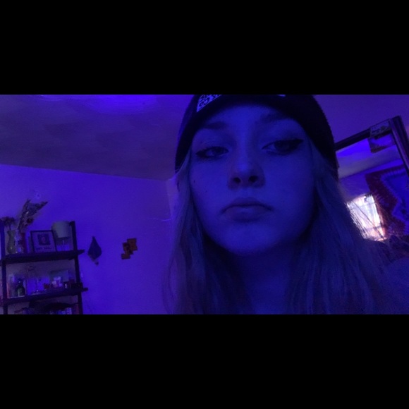 Meet your Posher, Lilly - Picture 1 of 1